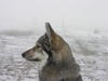 dscn3220.jpg