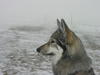 dscn3221.jpg