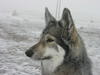 dscn3222.jpg