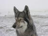 dscn3223.jpg