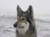 dscn3225.jpg