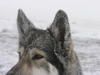 dscn3226.jpg