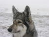 dscn3227.jpg