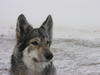 dscn3229.jpg