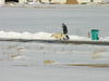 dscn3235.jpg