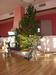 dscn3243.jpg