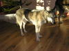 dscn3245.jpg