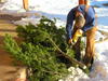 dscn3246.jpg