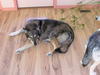 dscn3248.jpg