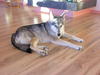 dscn3249.jpg